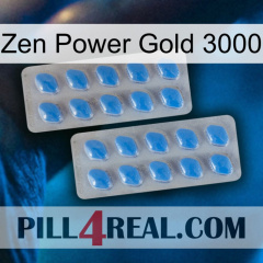 Zen Power Gold 3000 23